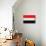 Yemen Flag Design with Wood Patterning - Flags of the World Series-Philippe Hugonnard-Mounted Art Print displayed on a wall