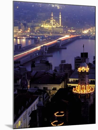 Yeni Mosque and the Galata Bridge, Istanbul, Turkey-Ali Kabas-Mounted Premium Photographic Print