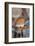 Yeni Mosque, Eminonu and Bazaar District, Istanbul, Turkey, Europe-Richard Cummins-Framed Photographic Print