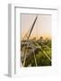 Yeouido, the Saetgang Ecological Park, a Wild Wetland among the Skyscrapers, the Saetgang Bridge (F-Massimo Borchi-Framed Photographic Print