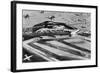 Yerba Buena Aerodrome-Ken Sawyer-Framed Photographic Print