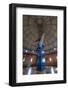 Yerkes Observatory Telescope-Steve Gadomski-Framed Photographic Print