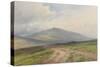 Yes Tor Near Okehampton, Dartmoor , C.1895-96-Frederick John Widgery-Stretched Canvas
