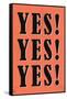 YES! YES! YES!-null-Framed Stretched Canvas