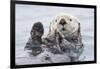 Yesterday I Caught A Fish Thiiis Big! Otter. Alaska-Roman Golubenko-Framed Giclee Print