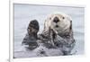 Yesterday I Caught A Fish Thiiis Big! Otter. Alaska-Roman Golubenko-Framed Giclee Print