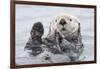 Yesterday I Caught A Fish Thiiis Big! Otter. Alaska-Roman Golubenko-Framed Giclee Print