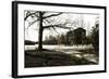 Yesterday II-Alan Hausenflock-Framed Photographic Print