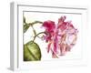 Yesterday's Beauty-Doris Joa-Framed Giclee Print