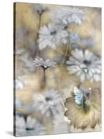 Yesterday's Garden Butterfly-Matina Theodosiou-Stretched Canvas