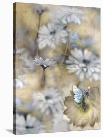 Yesterday's Garden Butterfly-Matina Theodosiou-Stretched Canvas