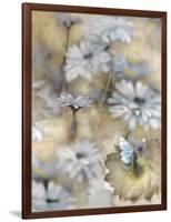 Yesterday's Garden Butterfly-Matina Theodosiou-Framed Art Print