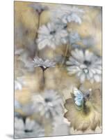 Yesterday's Garden Butterfly-Matina Theodosiou-Mounted Art Print