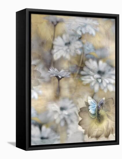 Yesterday's Garden Butterfly-Matina Theodosiou-Framed Stretched Canvas