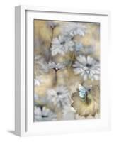 Yesterday's Garden Butterfly-Matina Theodosiou-Framed Art Print