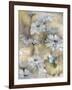 Yesterday's Garden Butterfly-Matina Theodosiou-Framed Art Print