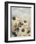 Yesterday's Garden-Matina Theodosiou-Framed Art Print