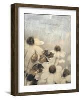 Yesterday's Garden-Matina Theodosiou-Framed Art Print