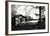 Yesterday-Alan Hausenflock-Framed Photographic Print