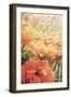 Yesterdays Poppies-Mindy Sommers-Framed Giclee Print