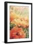 Yesterdays Poppies-Mindy Sommers-Framed Giclee Print