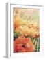 Yesterdays Poppies-Mindy Sommers-Framed Giclee Print