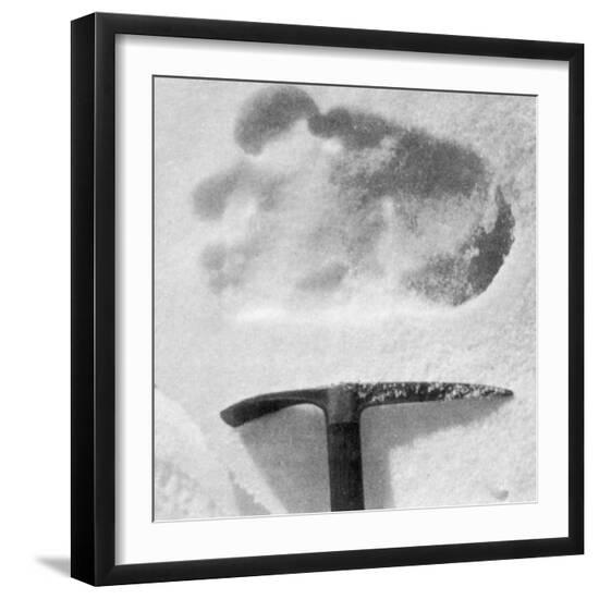 Premium Photographic Print, , large