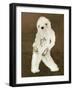 Yetti-Ruben Ireland-Framed Art Print