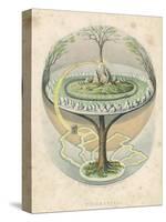 Yggdrasil the Sacred Ash the Tree of Life the Mundane Tree of Norse Mythology-null-Stretched Canvas