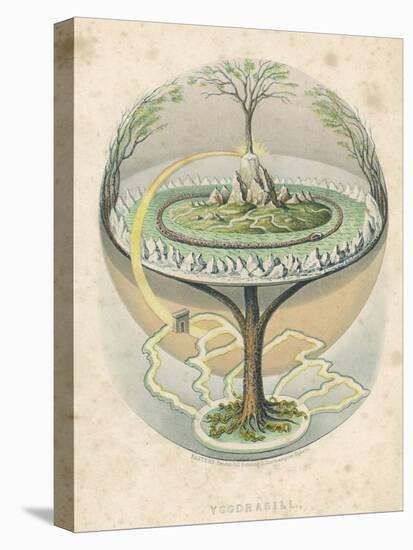 Yggdrasil the Sacred Ash the Tree of Life the Mundane Tree of Norse Mythology-null-Stretched Canvas