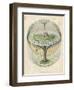 Yggdrasil the Sacred Ash the Tree of Life the Mundane Tree of Norse Mythology-null-Framed Photographic Print