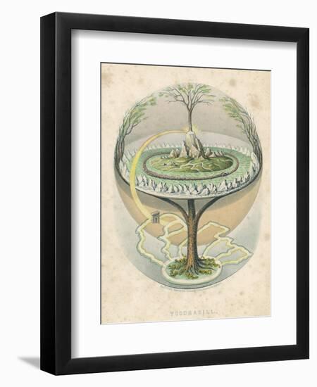 Yggdrasil the Sacred Ash the Tree of Life the Mundane Tree of Norse Mythology-null-Framed Photographic Print