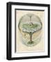 Yggdrasil the Sacred Ash the Tree of Life the Mundane Tree of Norse Mythology-null-Framed Photographic Print