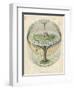 Yggdrasil the Sacred Ash the Tree of Life the Mundane Tree of Norse Mythology-null-Framed Photographic Print