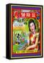 Yick Loong Fireworks Co. Duck Brand Firecracker-null-Framed Stretched Canvas