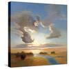 Yielding Light-Vicki Mcmurry-Stretched Canvas