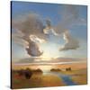 Yielding Light-Vicki Mcmurry-Stretched Canvas