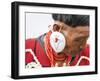 Yimchunger Tribesman With Earring, Nagaland, N.E. India-Peter Adams-Framed Photographic Print