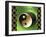 Yin And Yang 3D-Art Deco Designs-Framed Giclee Print