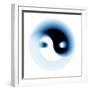 Yin And Yang-PASIEKA-Framed Premium Photographic Print