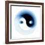 Yin And Yang-PASIEKA-Framed Photographic Print