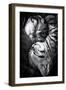 Yin and Yang-Andrea Jancova-Framed Premium Photographic Print