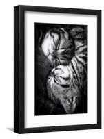 Yin and Yang-Andrea Jancova-Framed Premium Photographic Print