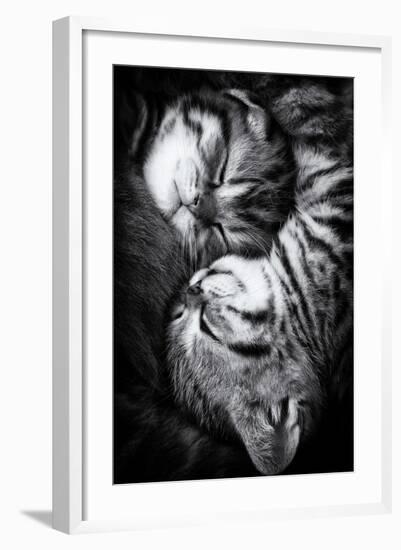 Yin and Yang-Andrea Jancova-Framed Photographic Print