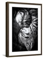 Yin and Yang-Andrea Jancova-Framed Photographic Print