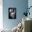 Yin and Yang-Andrea Jancova-Mounted Photographic Print displayed on a wall
