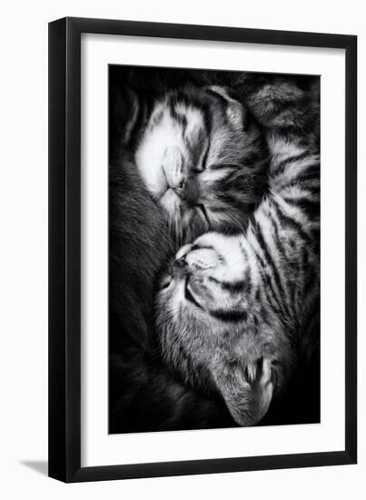 Yin and Yang-Andrea Jancova-Framed Photographic Print