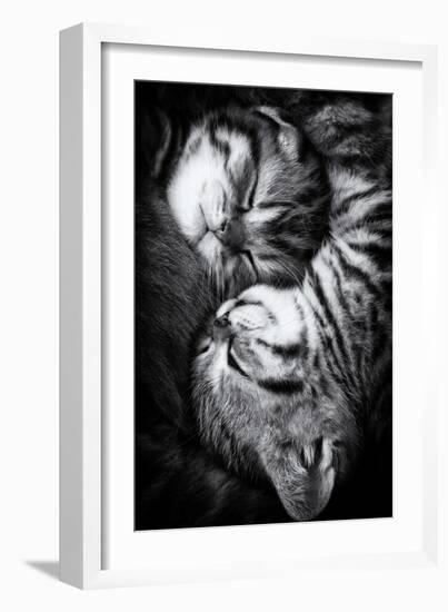 Yin and Yang-Andrea Jancova-Framed Photographic Print