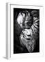 Yin and Yang-Andrea Jancova-Framed Photographic Print