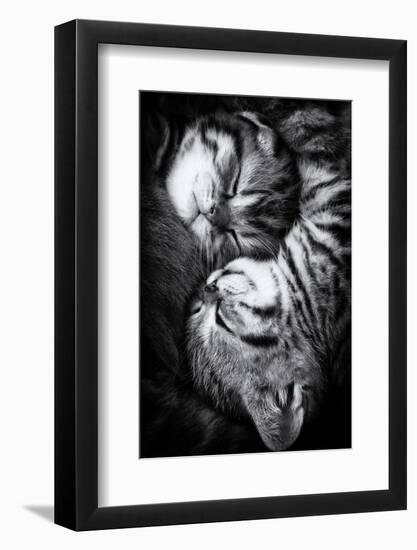 Yin and Yang-Andrea Jancova-Framed Photographic Print